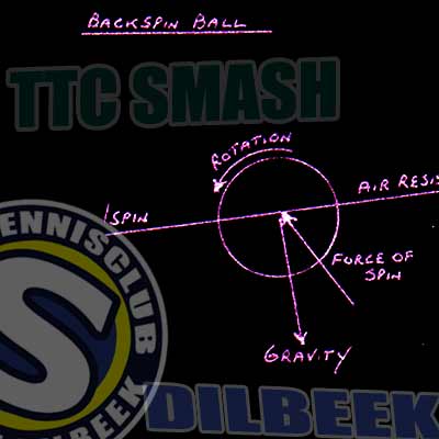 tafeltennis smash dilbeek